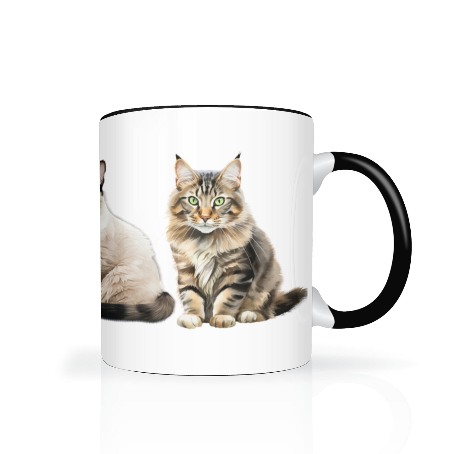 Cats 11oz Mug