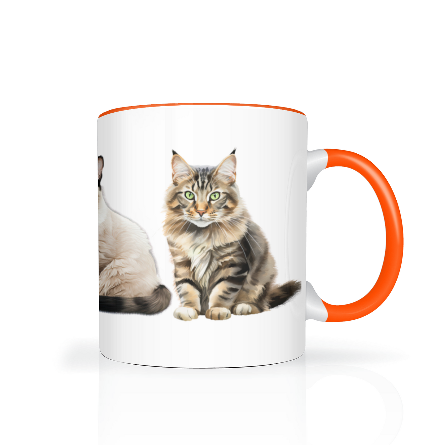 Cats 11oz Mug