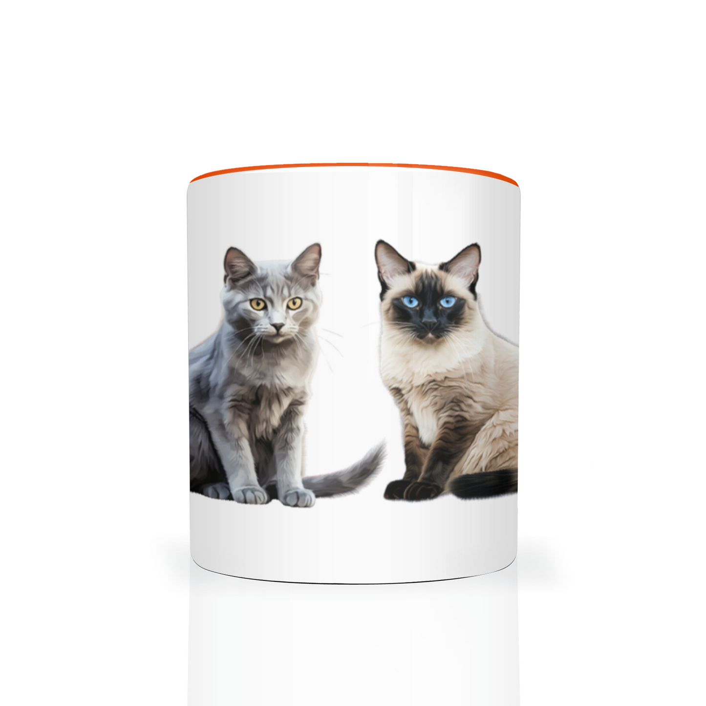 Cats 11oz Mug