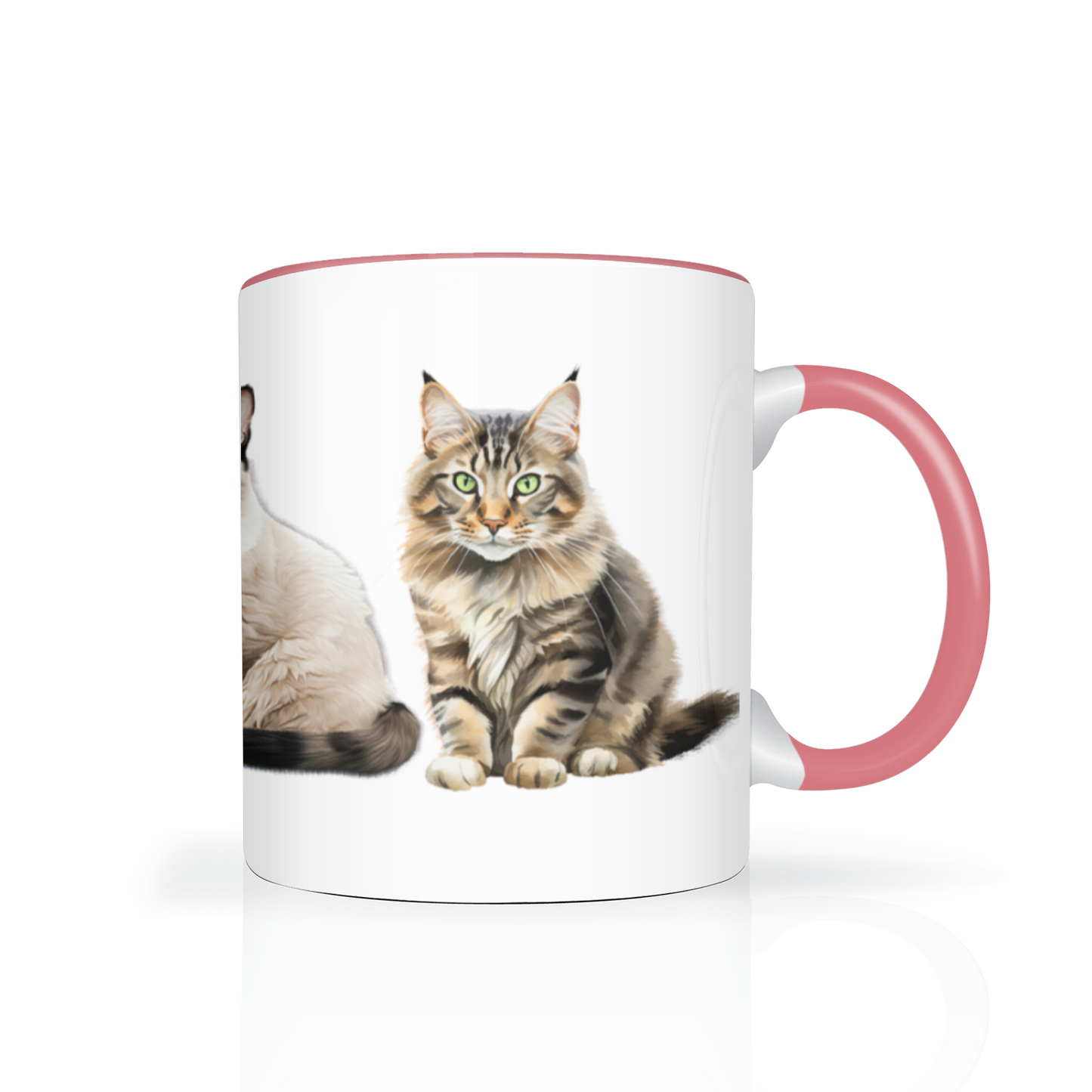 Cats 11oz Mug
