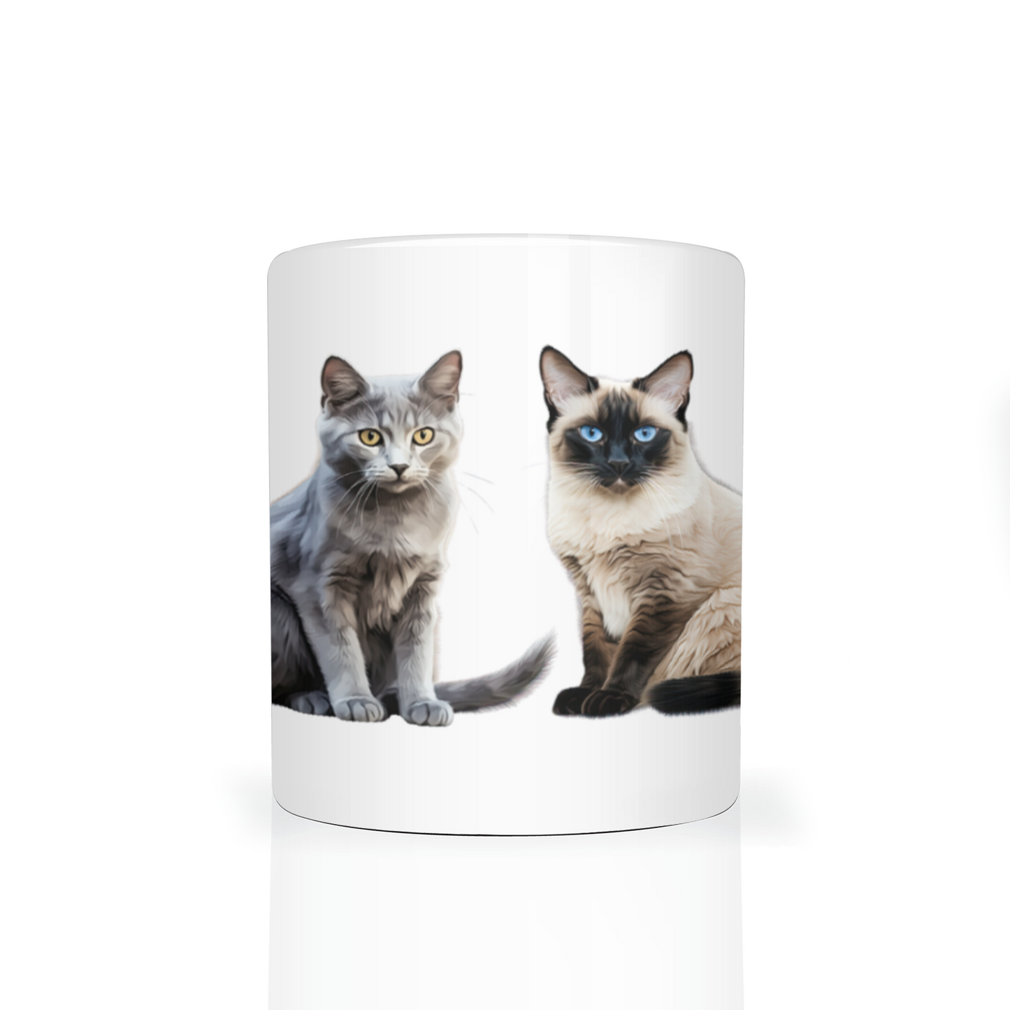 Cats 11oz Mug