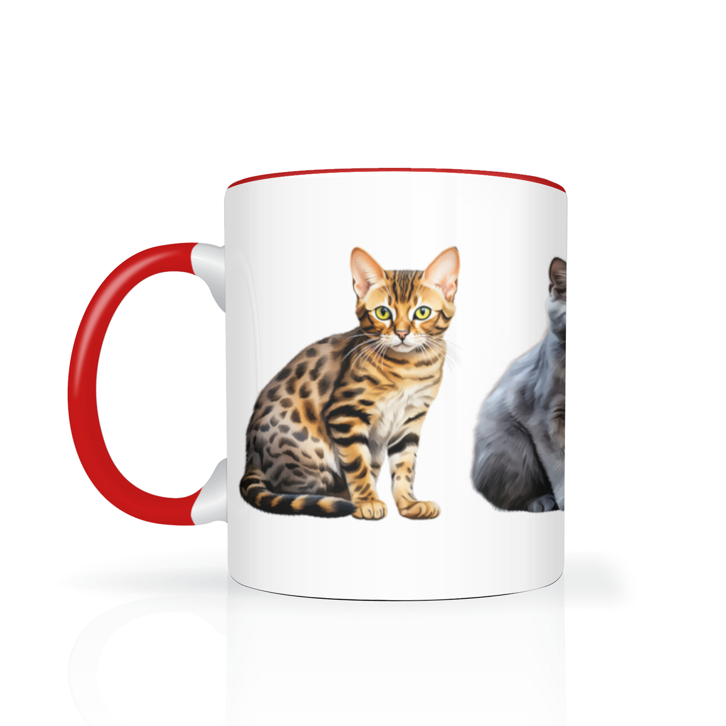 Cats 11oz Mug