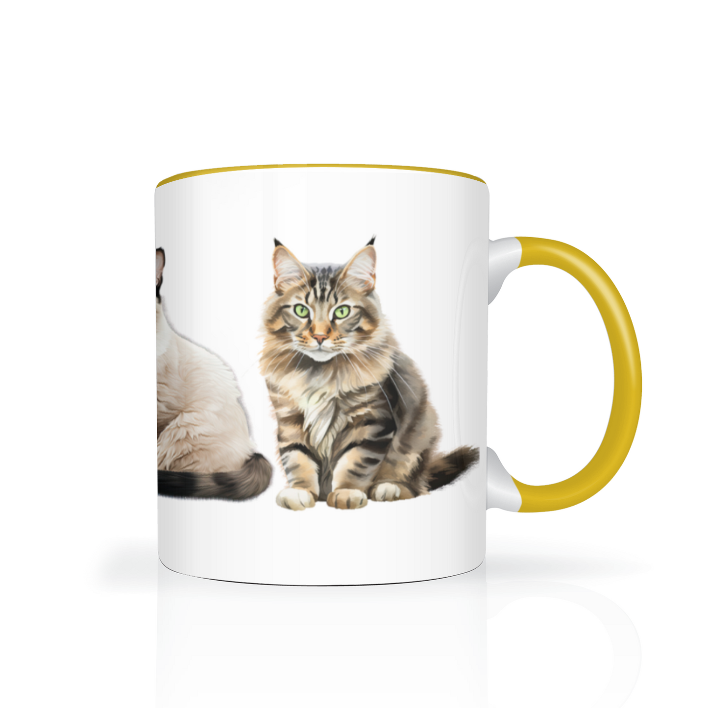 Cats 11oz Mug