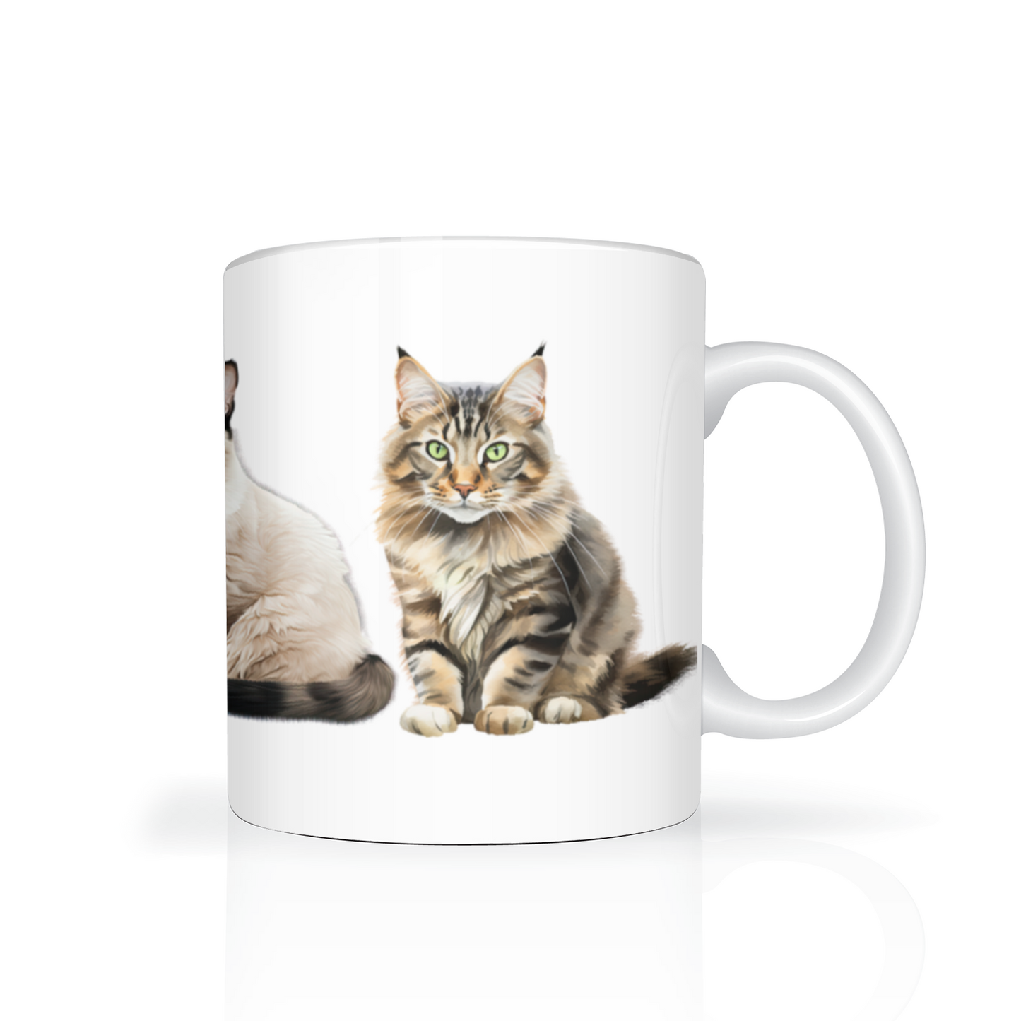 Cats 11oz Mug